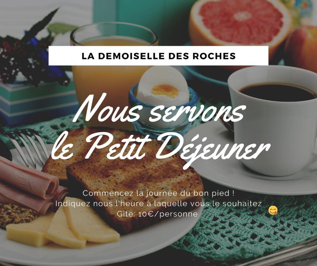Ramonchamp Demoiselle Des Roches 아파트 외부 사진